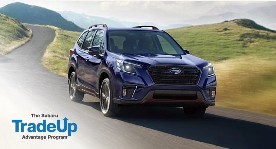 Exquisite Subaru Motor Finance Capture in HD Exquisite Subaru Motor Finance Capture in HD